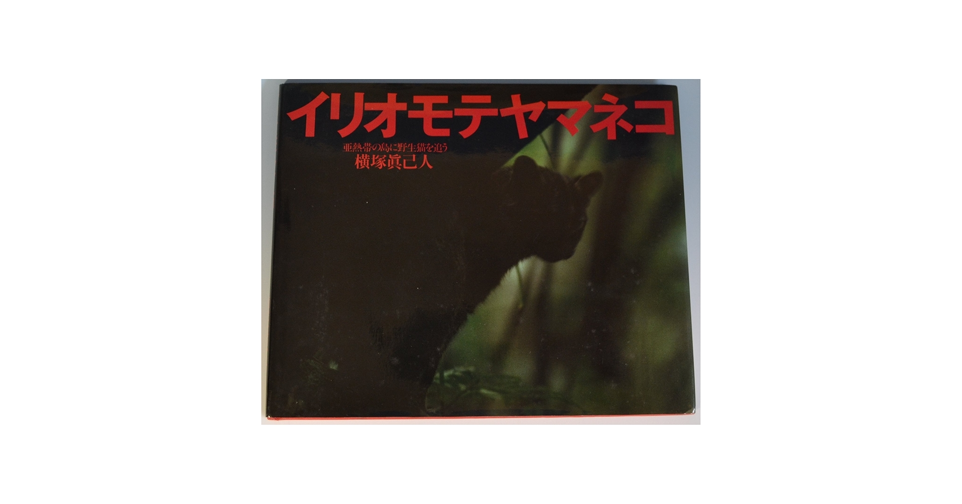 イリオモテヤマネコ: 亜熱帯の島に野生猫を追う | 横塚 眞己人 |本